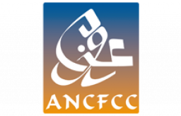 ANCFCC